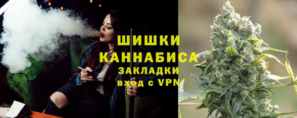 винт Инта