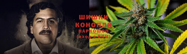круглые Иннополис