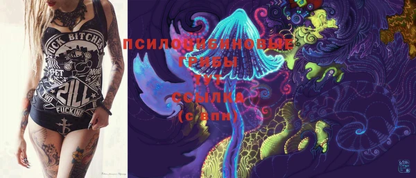 винт Инта