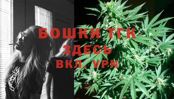 круглые Иннополис