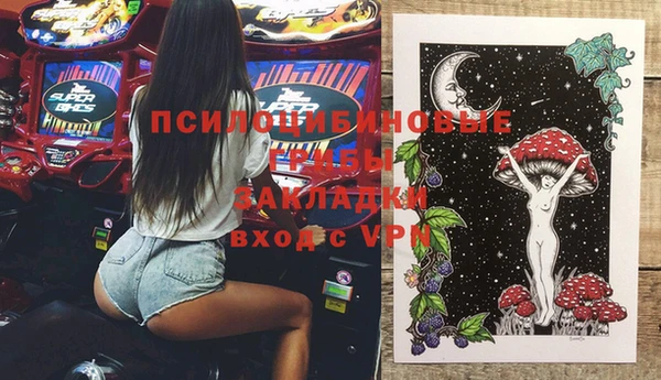 винт Инта