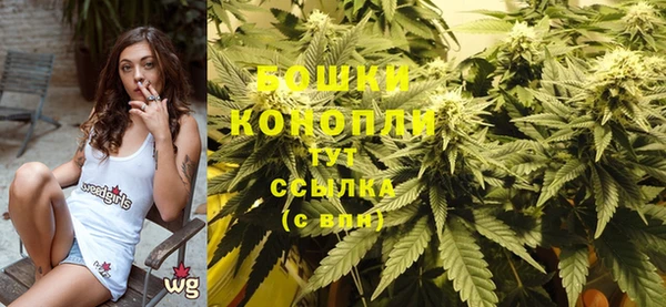 круглые Иннополис
