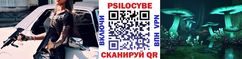 закладки  Малаховка  Псилоцибиновые грибы прущие грибы 